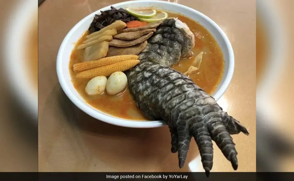 godzilla-yastie.webp