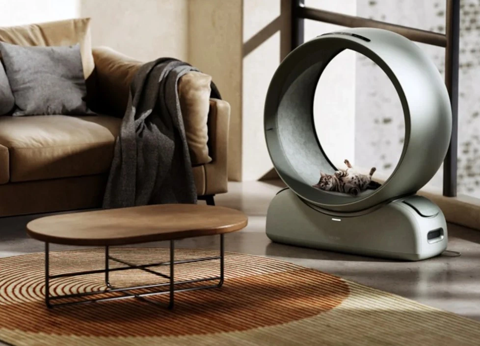 pet-dryer-concept-03_11zon.webp