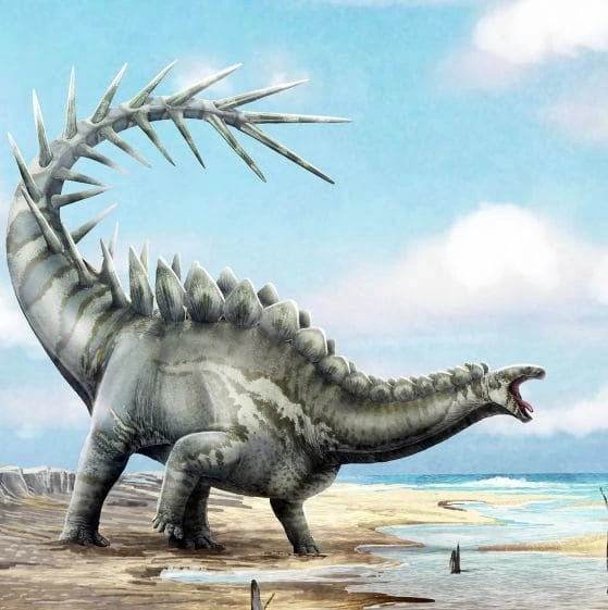 stegozavuz-dacentrurus-armatus.webp