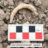 Амулет край Свищов