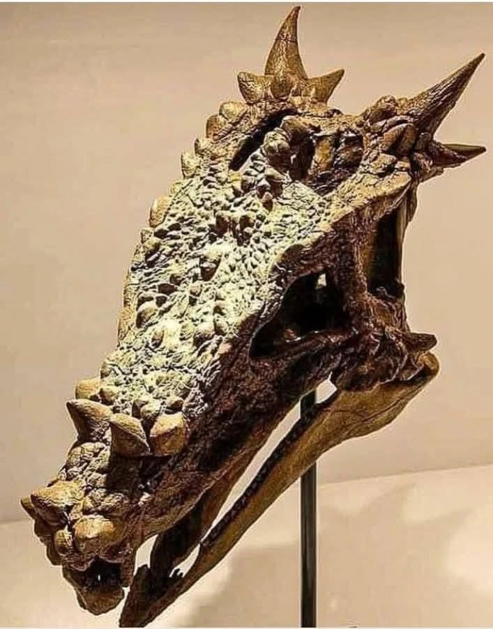 cherep-dinozavur.webp