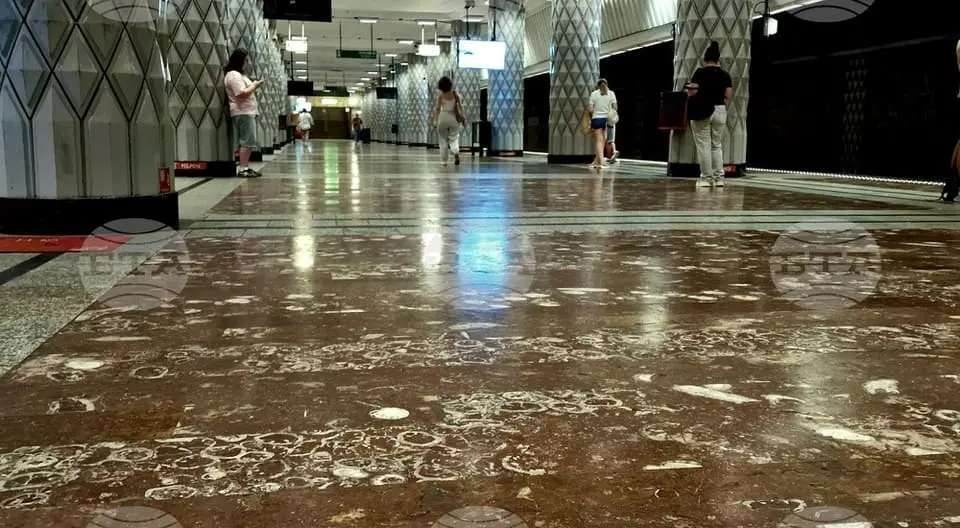 fosili-v-metroto-v-bukuresht.webp