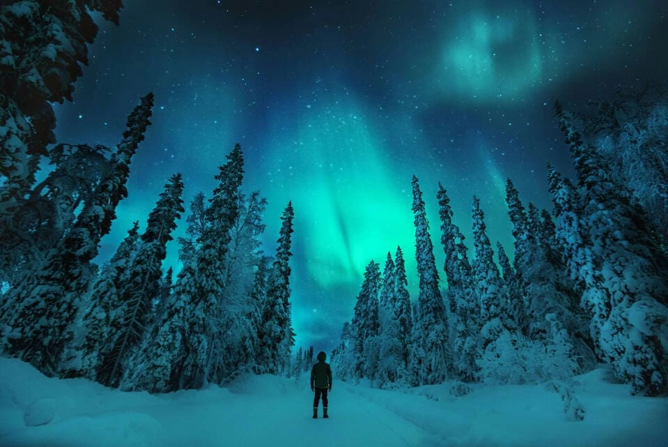 finlandiq.webp