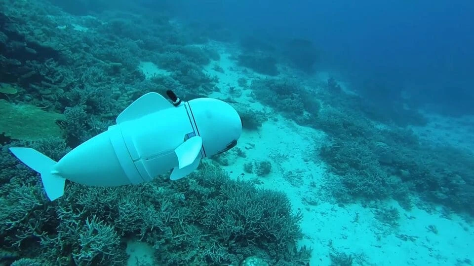 riba-robot.webp