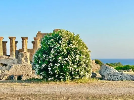 smyata-se-che-tova-e-nay-razgarnatiyat-arheologicheski-park-v-evropa.webp