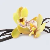 ванилия подправка