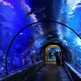 Япония подводен тунел