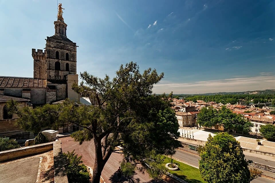avignon.webp