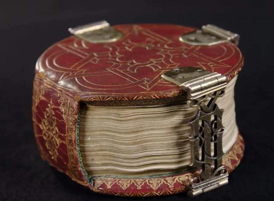 codex-rotundus1.webp