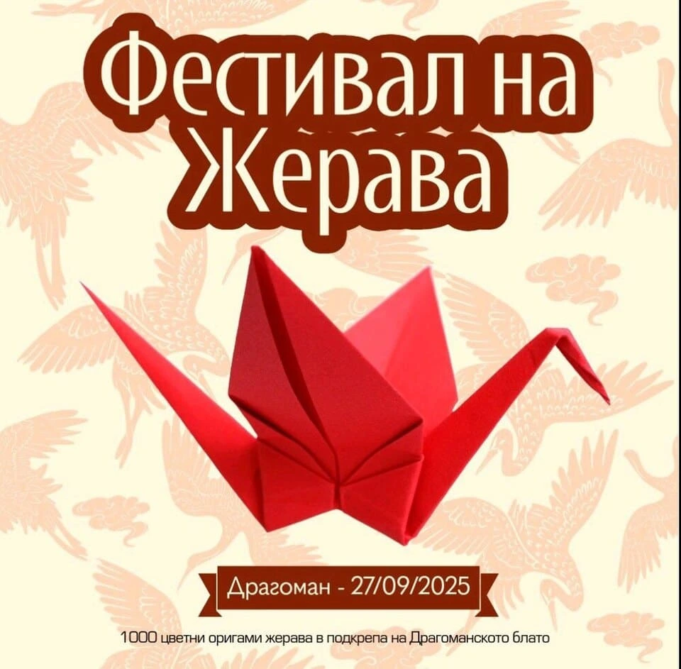 festival-na-jerava.webp