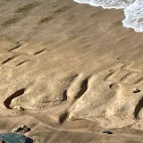 Петроглифи Хавай