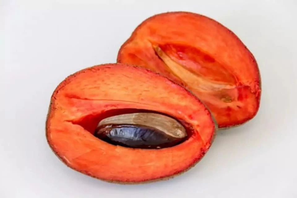 sapote.webp