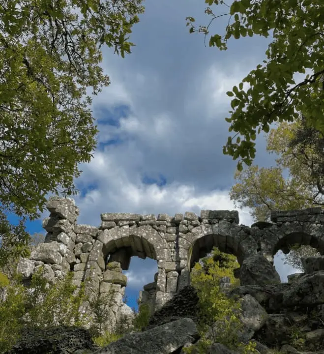 termesos.webp