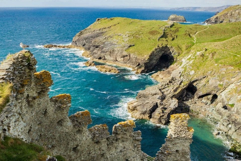 zamukut-tintagel.webp