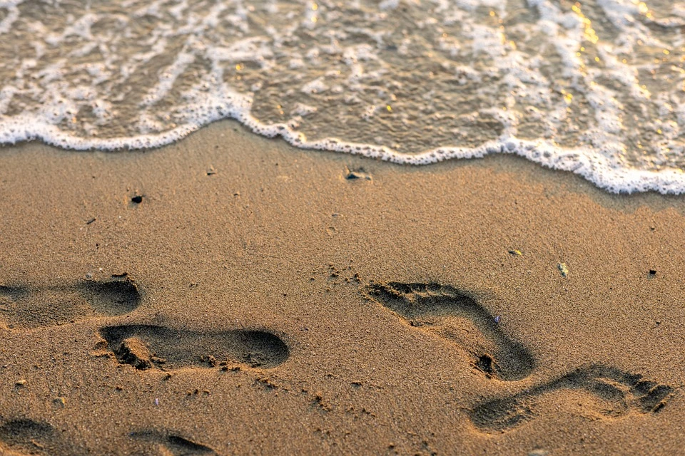 footprints.webp