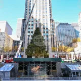 Коледно дърво Рокфелер