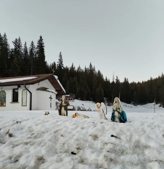 Родопите коледа